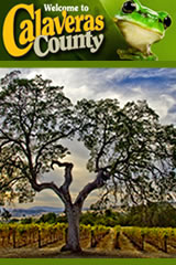 Click here for your FREE Calaveras County Travel Planner!