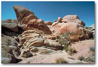 Joshua Tree National Park, California