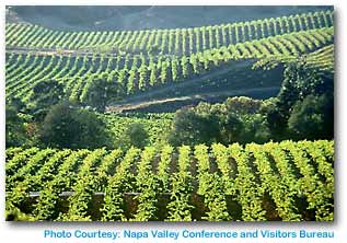 Napa Valley, California