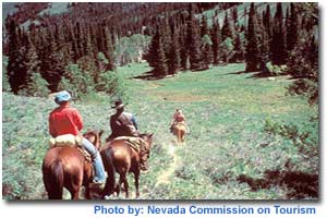 Jarbidge Wilderness, Nevada