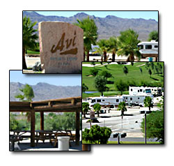 Avi Resort & RV Park