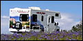 RV and Motorhome Rentals