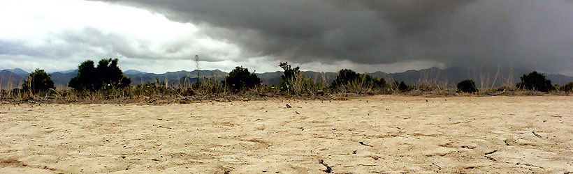 Desert Landscape