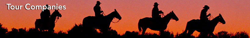 go-nevada.com Travel Info