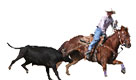 Silver State International Rodeo