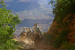 Sightseeing Tours Grand Canyon