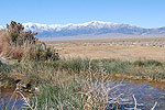 Toiyabe Range