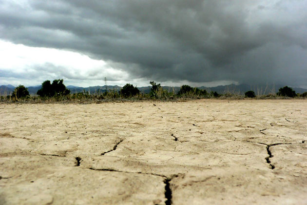 Desert Landscape