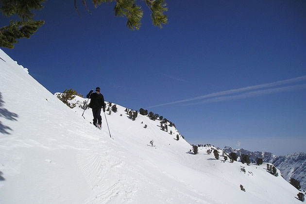 Crisp Mountain Air