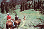 Cottonwood Ranch in Jarbidge