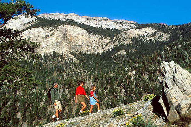 Hiking MtCharleston near Las Vegas