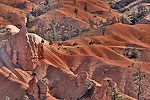 Horseback in Bryce