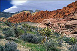 Redrock Canyon