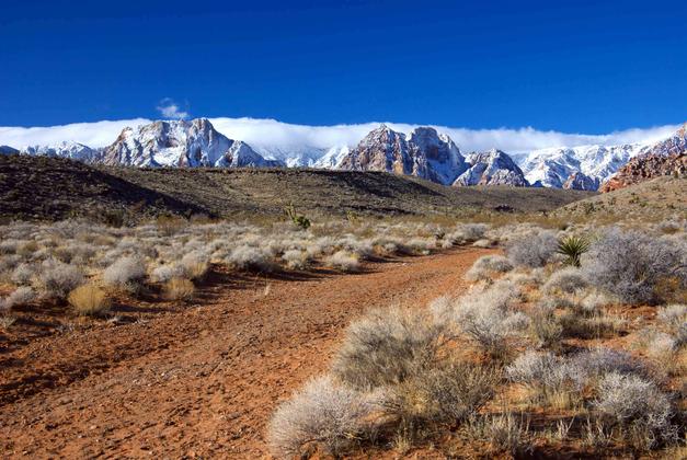 Near Red Rock Canyon